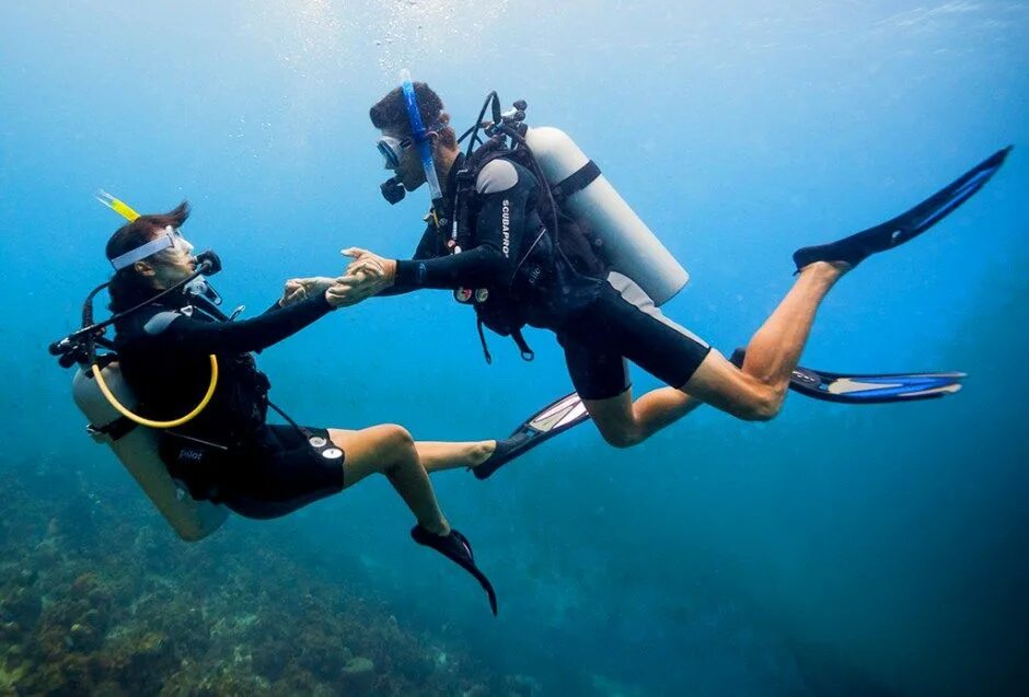 Dive want