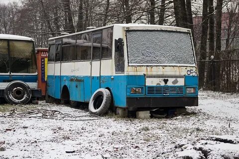 Автобус 295 спб