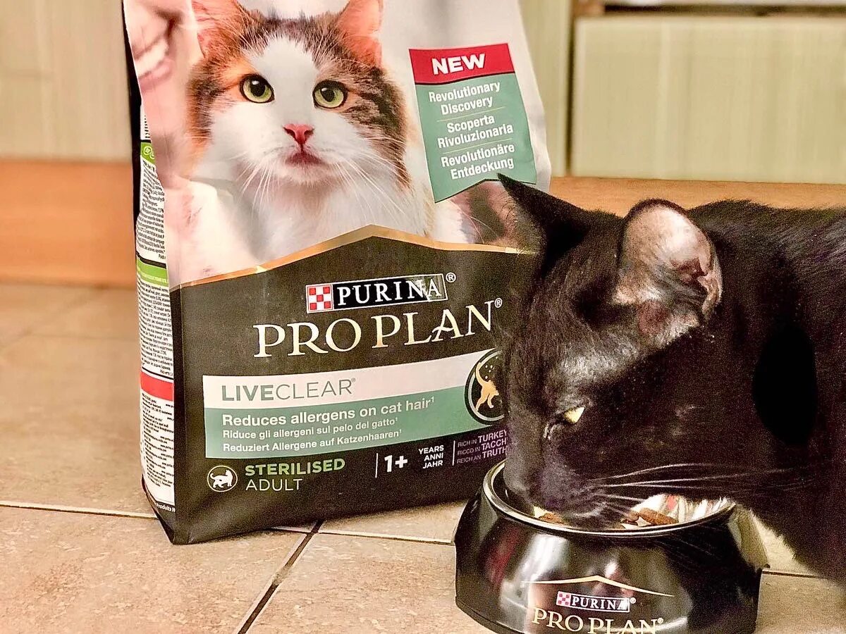 Корм для кошек Pro Plan® liveclear®. Проплан для кошек от аллергии человека. Pro Plan для кошек от аллергии. Корм от аллергии для кошек Проплан.