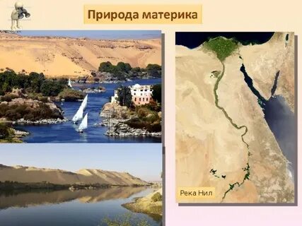 Самая длинная река материка