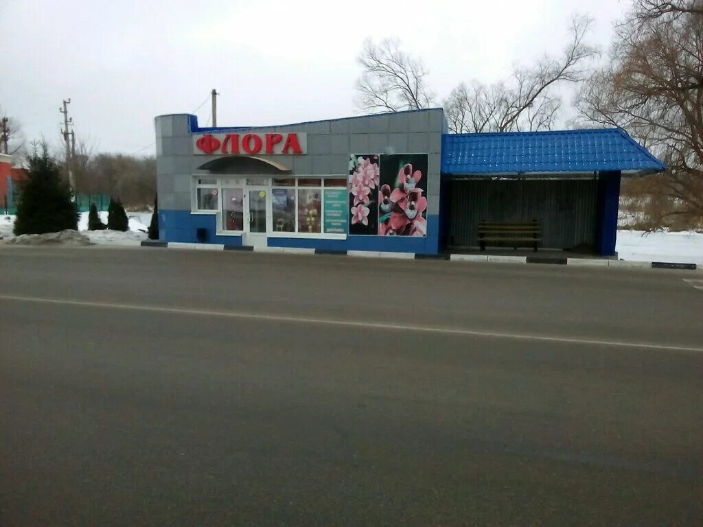 растения города шебекино картинки. цветы шебекино. шумилова 6 шебекино. шебекино ул ленина 64. шебекино тюльпаны.