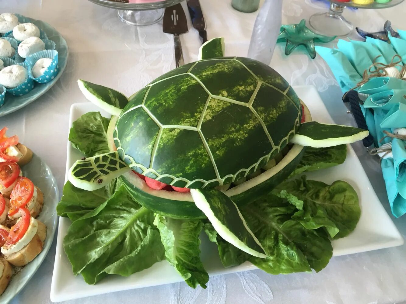 Turtle turtle fruit