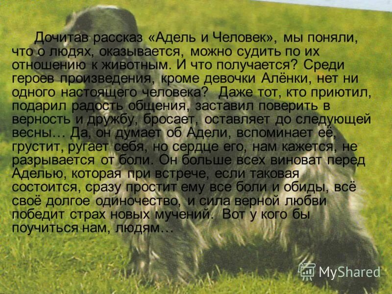 История об отношениях человека и животного. Кусака основная мысль. Взаимосвязь животных и человека. Пословицы о животном и человеке. Рассказы взаимоотношение человека и животных.