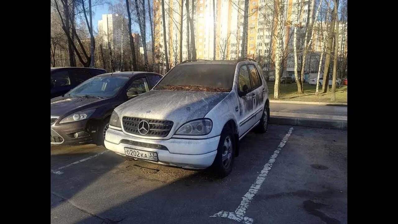Кинь кию
