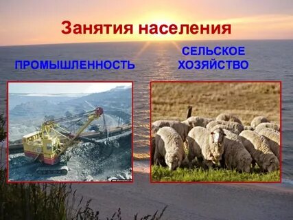 Население и хозяйство австралии