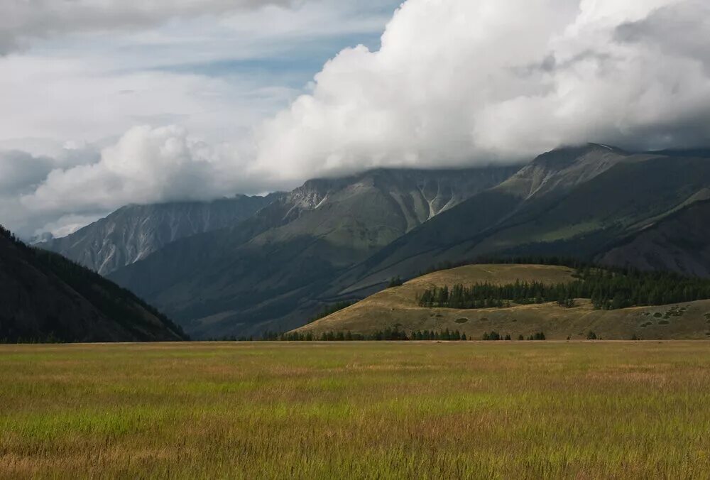 Гора фишт краснодарский край. Предан гора. Гора ашенете. Заповедник белогорье фото. Предан гора.
