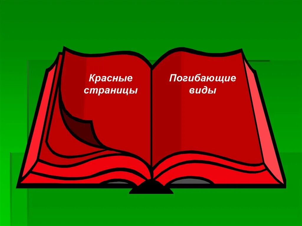 Красная книга россии цвета. Красная книга. Красная книга рисунок. Виды красных книг. Красана ЯКНИГА рисунок.