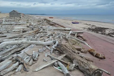 Белое море фирма