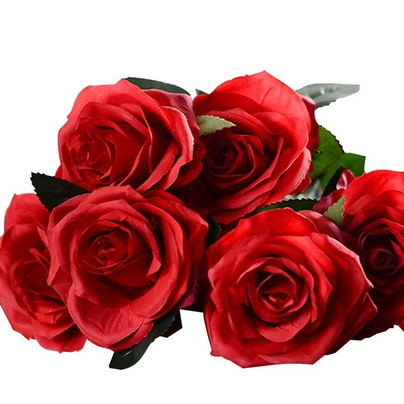 Rose 10