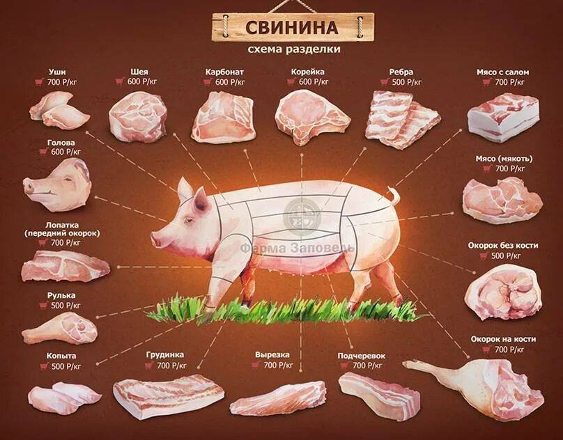 Как называется разделка туши. Мясо части туши свиньи. карбонат свиной часть туши. мясо части туши свиньи название. части туши свиньи корейка.