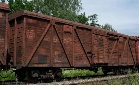 Модель 11