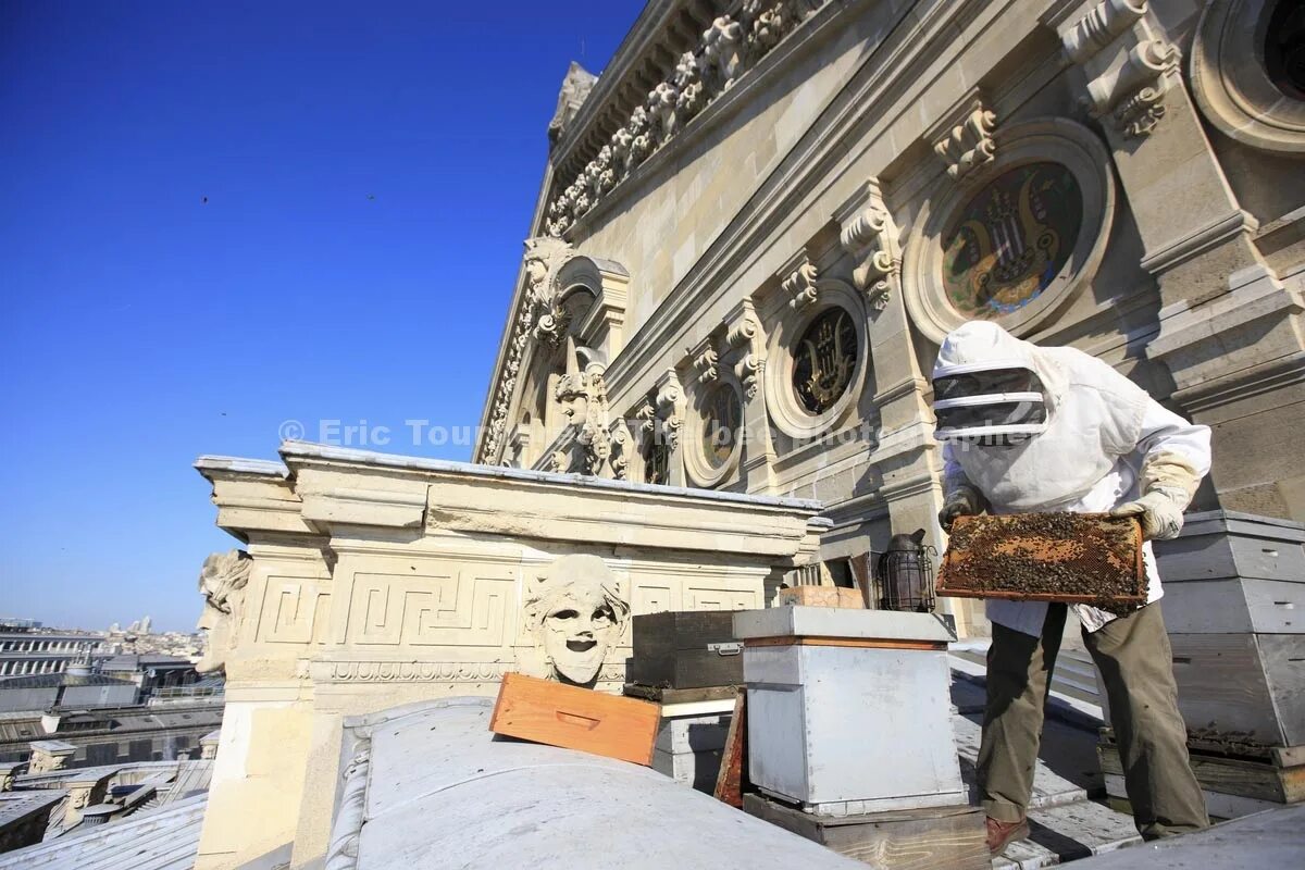 одесский оперный театр стиль архитектуры. театр ла фениче венеция. улики оперный театр. улики оперный театр. римский оперный театр.