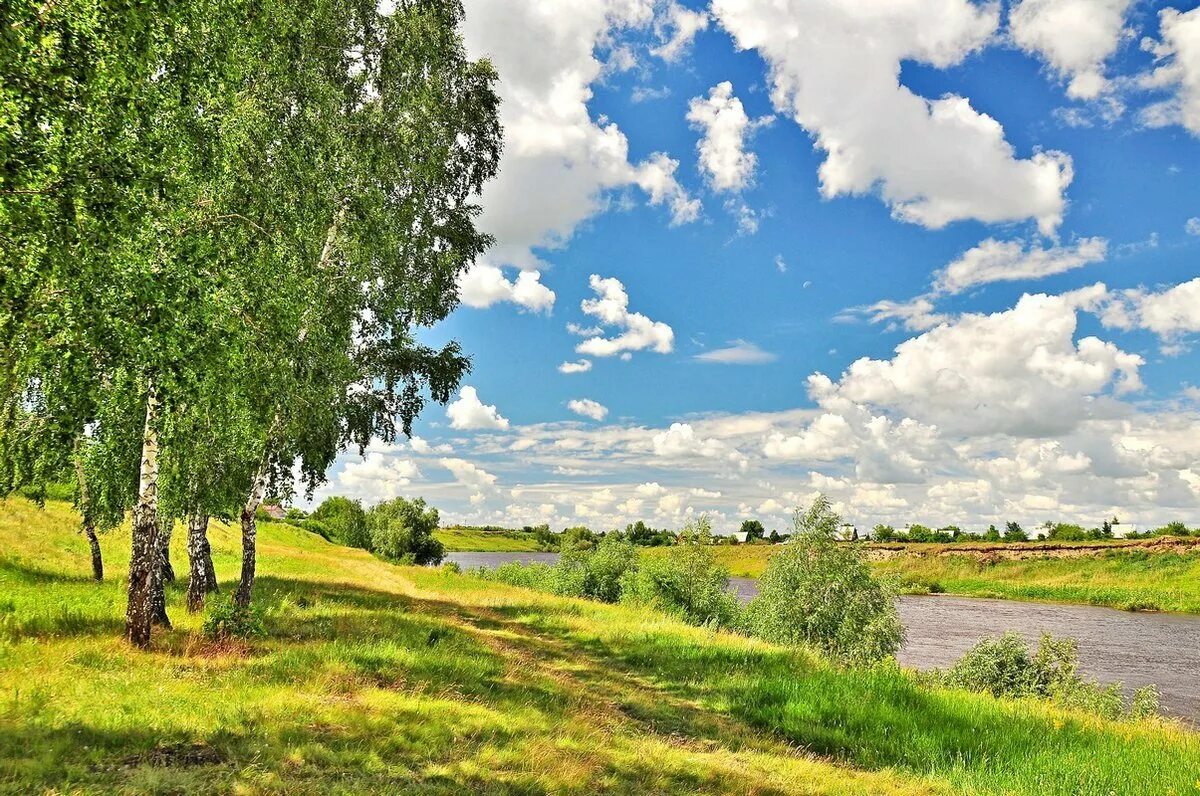 Картинка родная природа. Российские просторы березы Есенин. Родина Россия. Природа нашей Родины. Красота родной земли.