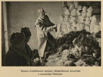 Чрезвычайная государственная комиссия