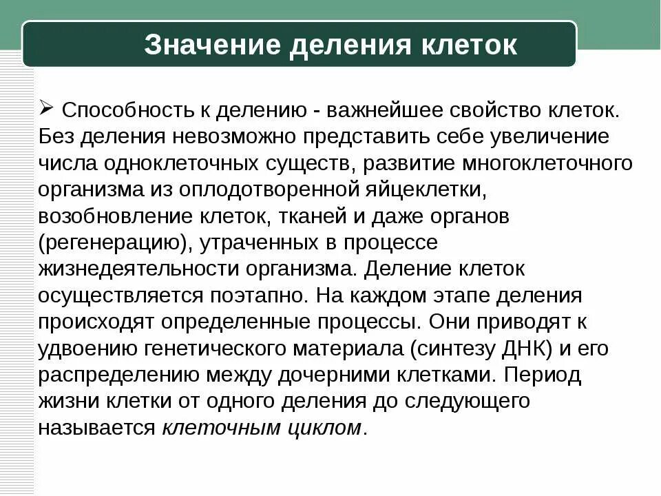 Деление клеток значение данного процесса