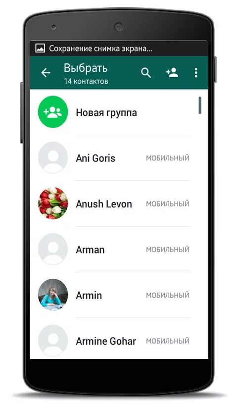 Группа в ватсапе. Название группы в вотсапе. Название для группы WHATSAPP. Смешные название групп в вацапе.