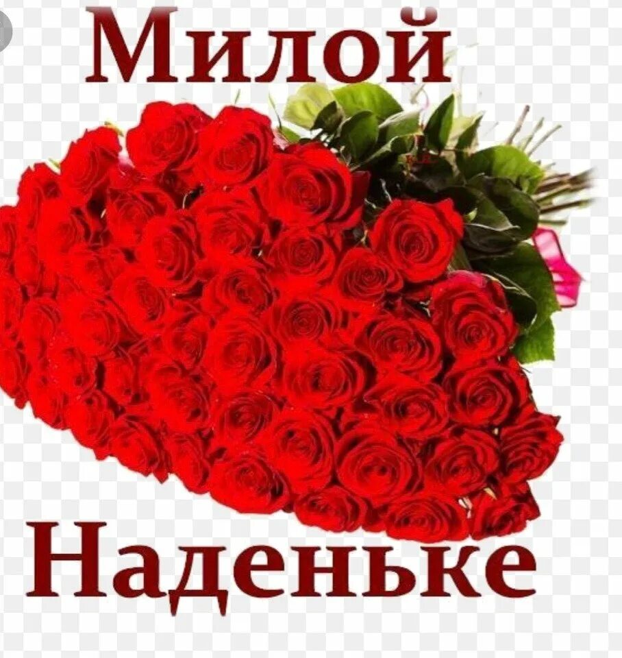 Моя дорогая текст красная. Поздравления с днём рождения надежде. Красивый букет для надежды. Поздравления с днём рождения Наденька. Розы для надежды.