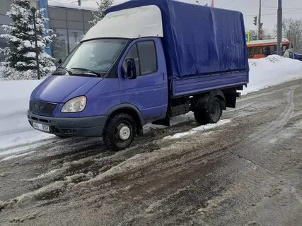 Газель выдавая