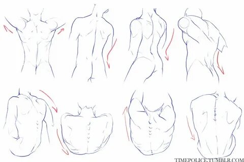 Drawing tutorials - Female torso/breast