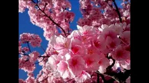 Шашты ретро фотосурет