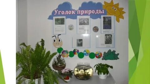В школьном уголке природы 3