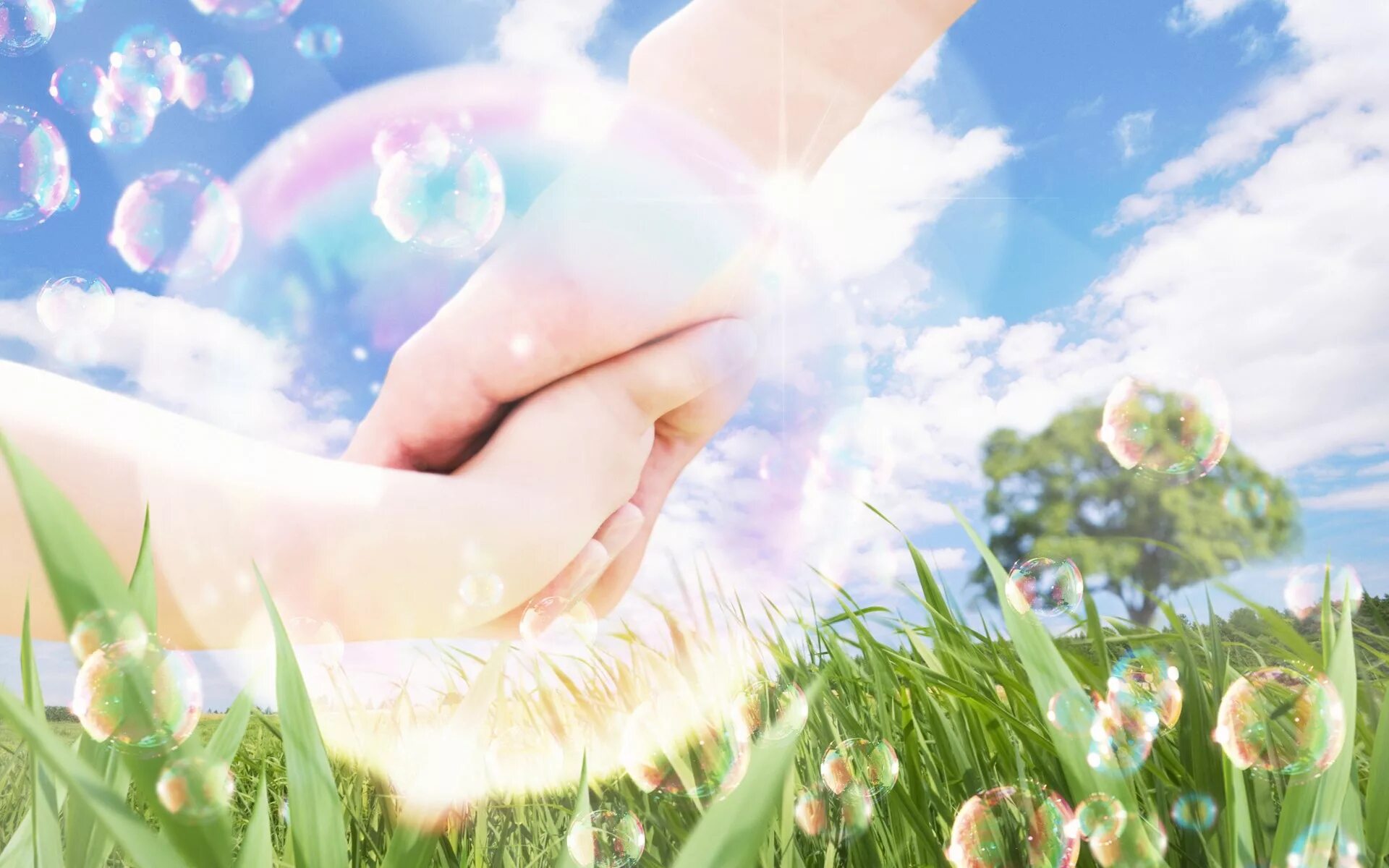 светлый чистый человек. солнце радость. светлана недялкова. легкость в мыслях. светлый чистый человек.