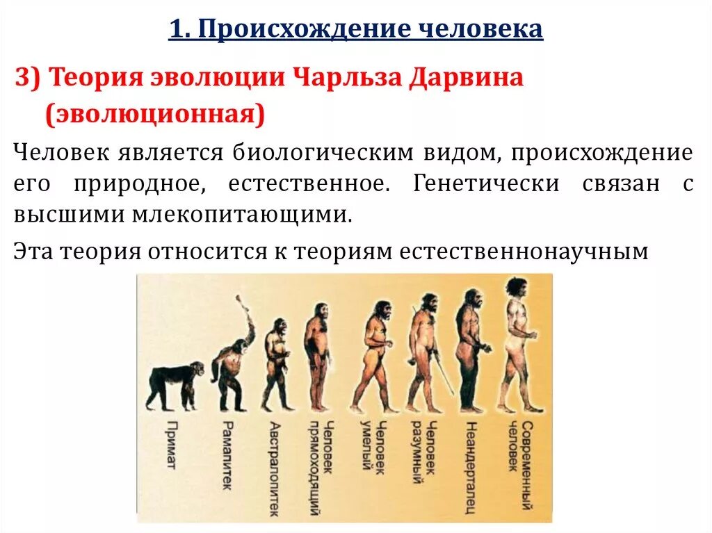 Происхождение человека. Эволюционная теория происхождения человека. Эволюционная концепция происхождения человека. Эволюция происхлждения человек.