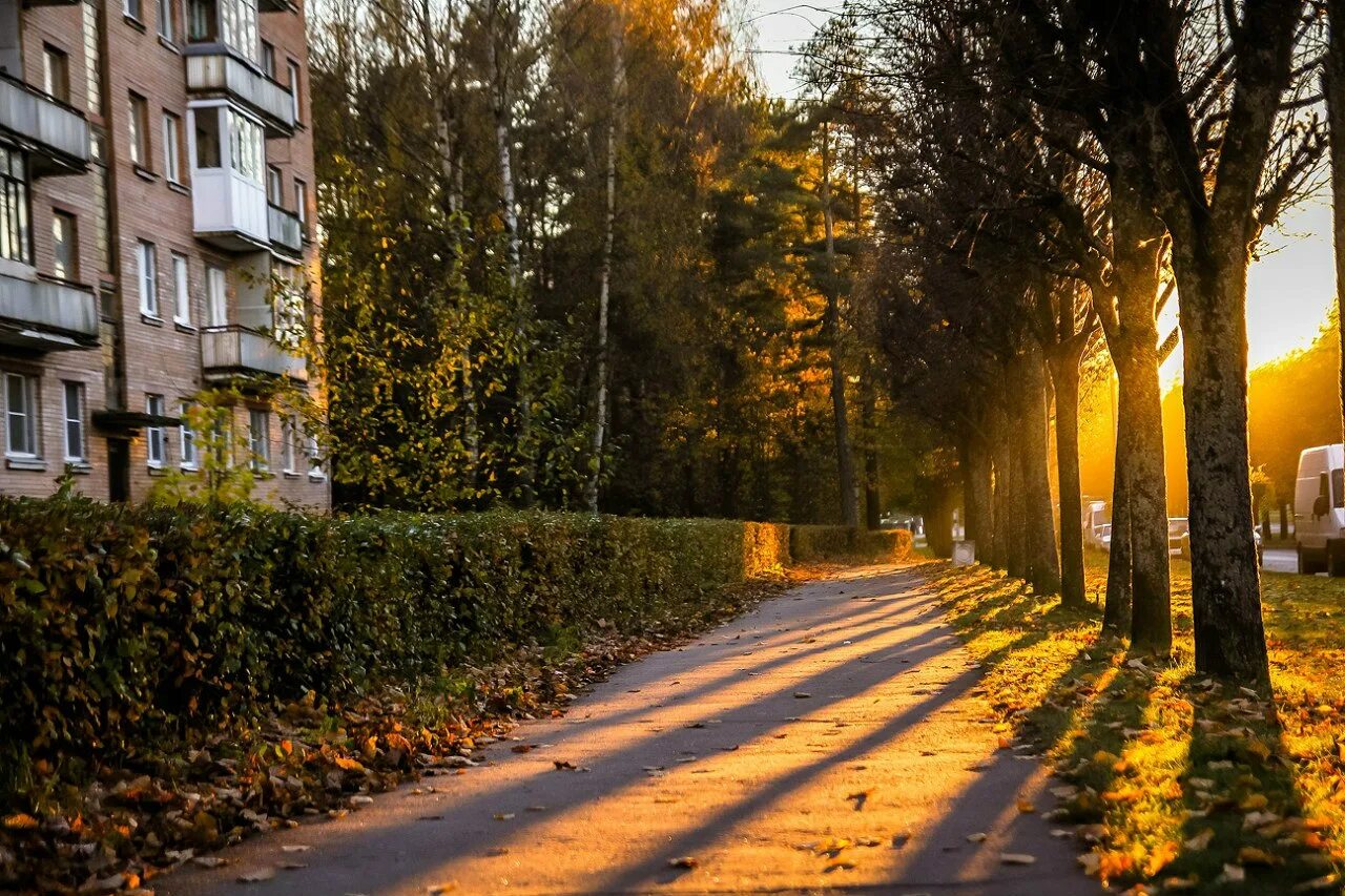 героев 4 сосновый бор. липовский проезд 25 сосновый бор. ленинградская область, г. детский сад незабудка протвино. сосновый проспект.