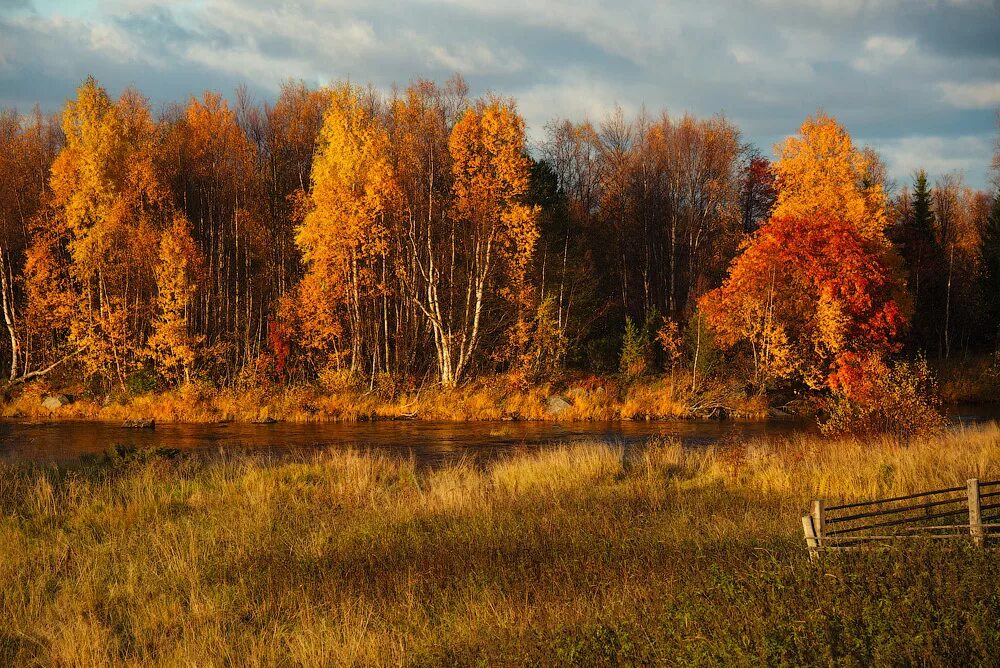 Осенний пейзаж. Природа осенью. Осень в России. Сентябрь природа.