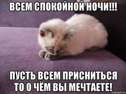 Спокойной ночи анечка