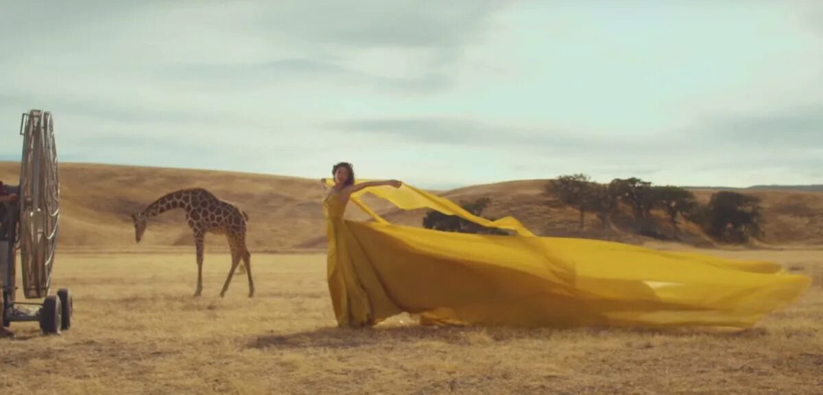 Swift wildest dreams. Taylor swift wildest dreams. beyond your wildest dreams. taylor swift video wildest dreams.