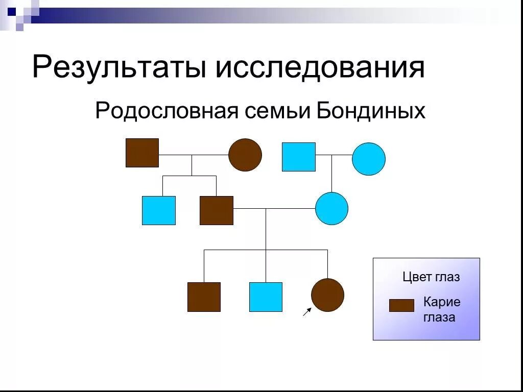 Родословная биология 11 класс. Родословная схема по генетике цвет волос. Родословная цвет глаз схема. Родословная по признаку цвета глаз. Составление родословной по глазам.