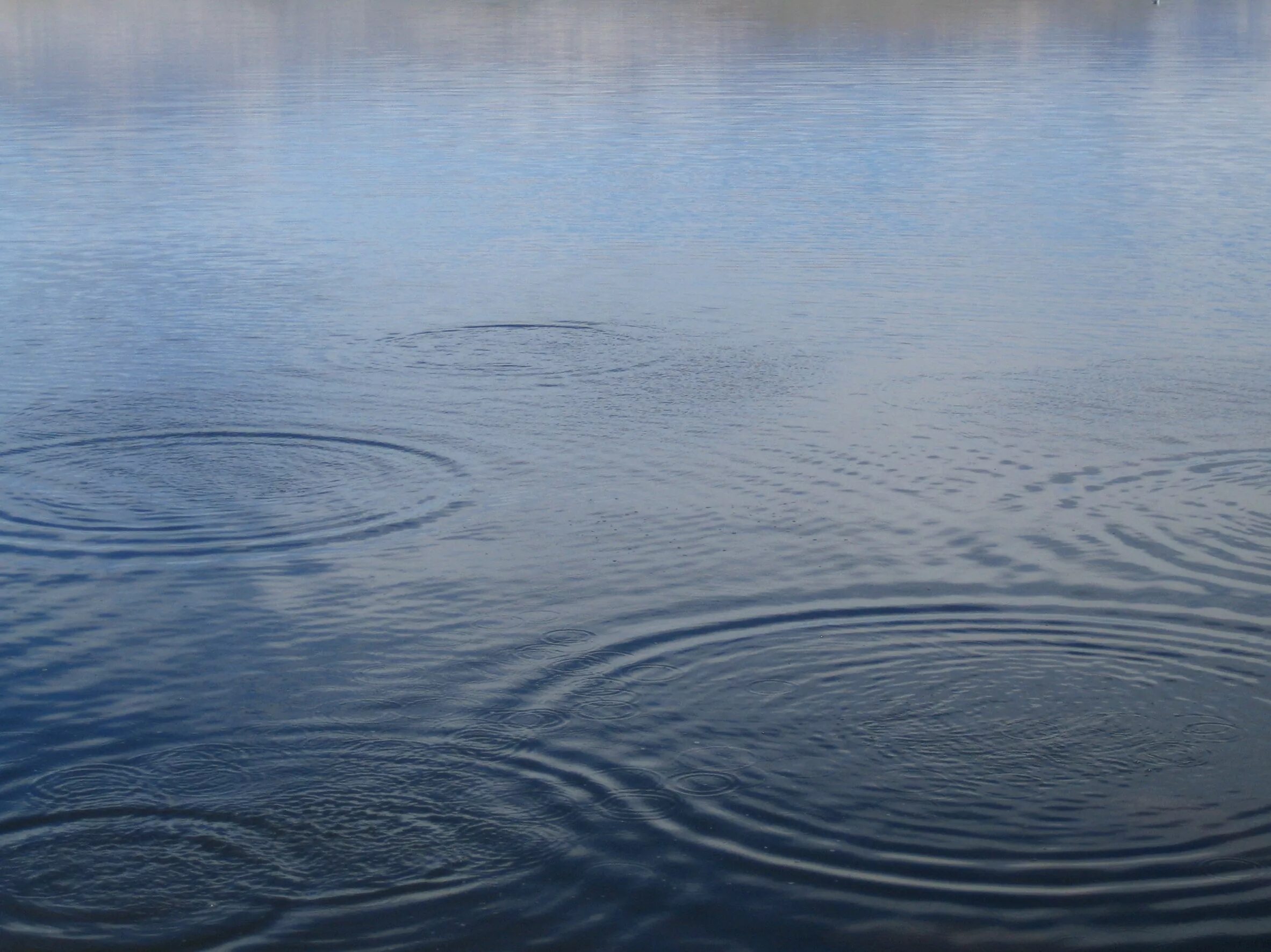 Погода на озере вода. Круги на воде. Круги на воде природа. Круги на воде озеро. Вода озеро.