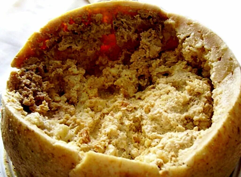 Сыр casu marzu италия. Сардиния сыр касу марцу. Кацу марцу. Кацу марцу. Сардинский касу марцу.
