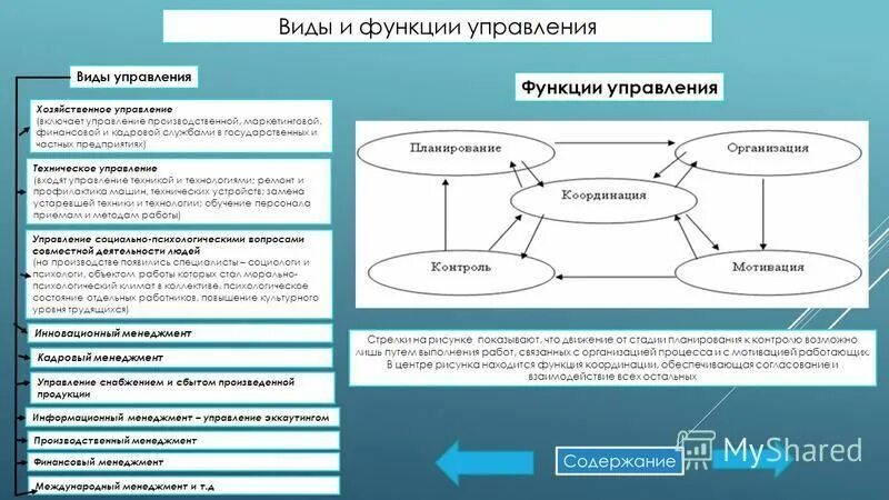 Какие управленческие функции