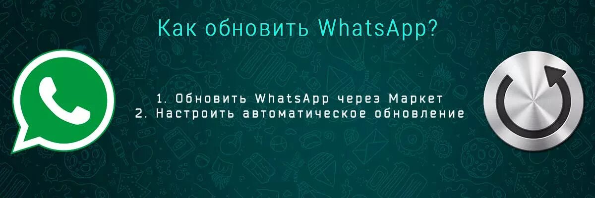 Алиса вацап. Обновление ватсап. Ватсап Алиса ватсап. Обновить WHATSAPP. Как обновить ватсап.