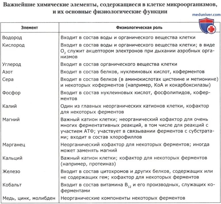 Бактерии и биогенные вещества играют роль. Бактерии и биогенные вещества играют роль. Строение бактериальной клетки мезосома это. Бактерии и биогенные вещества играют роль. Питательные вещества для бактерий.