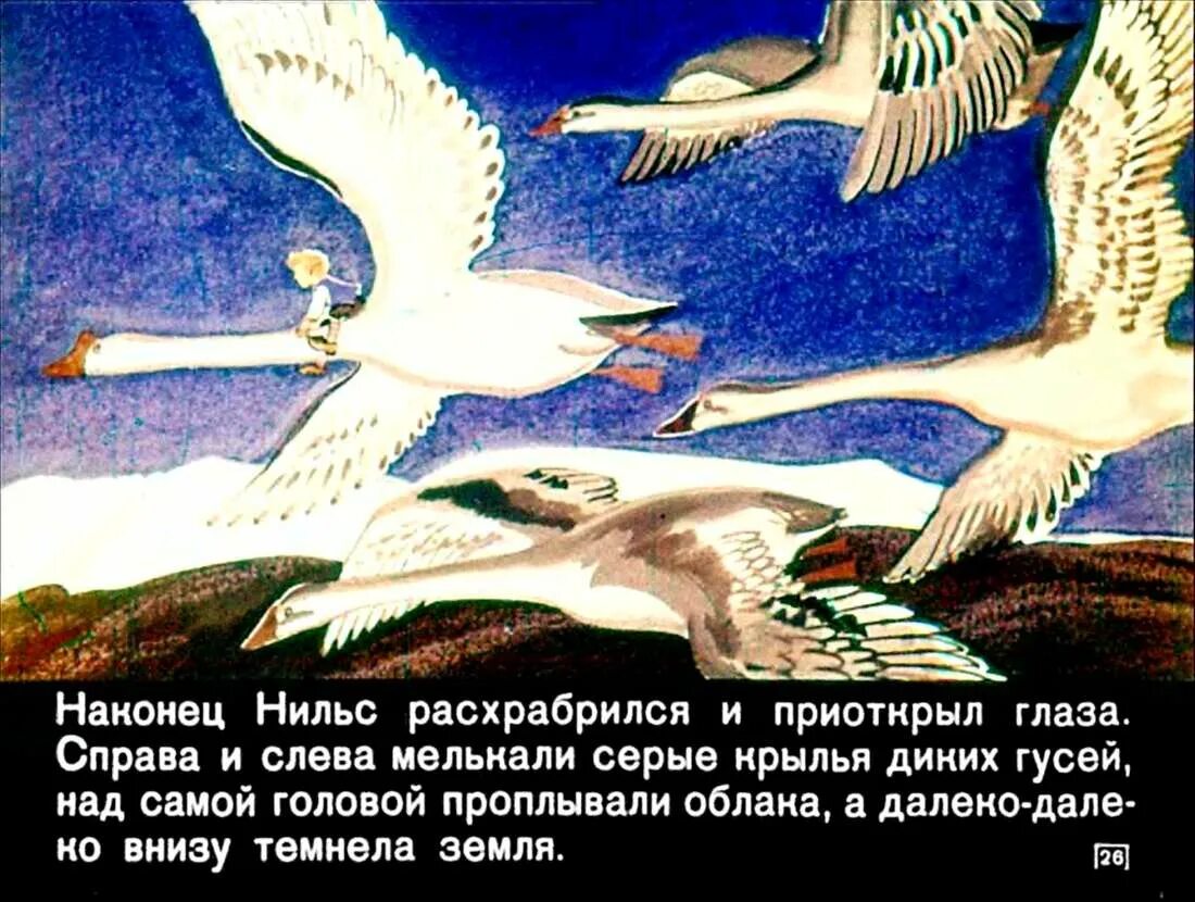 Путешествие с дикими гусями глава. Чудесное путешествие Нильса с дикими гусями 1 Гусь. Сельма Лагерлеф чудесное путешествие с дикими гусями. Чудесное путешествие Нильса с дикими гусями Тролль.