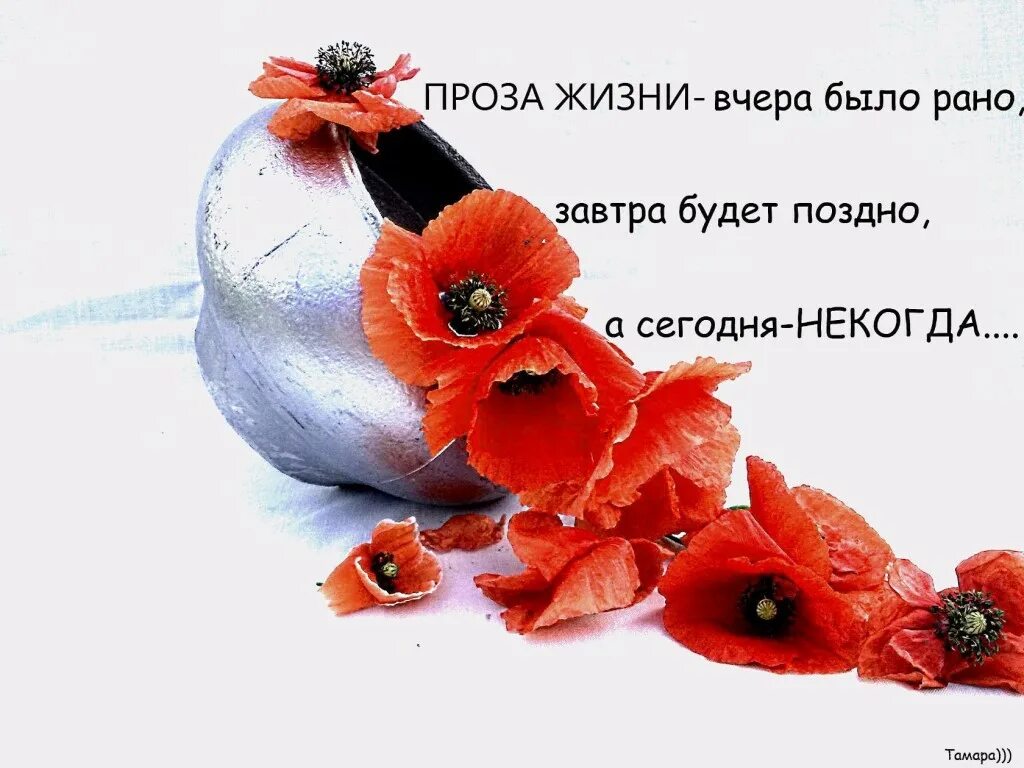 забавные прозы. смешные поздравления с днем рождения. открытки про дружбу прикольные. забавные прозы. забавные прозы.