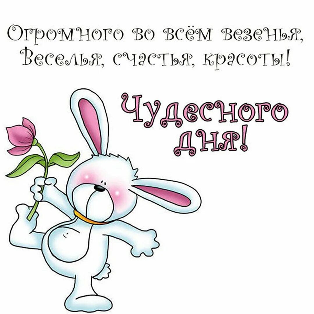 Открытки с добрым днём. Картинки с прикольными надписью добрый день. Добрый день. Хорошего дня и отличного настроения. Открытки с добрым утром прикольные.
