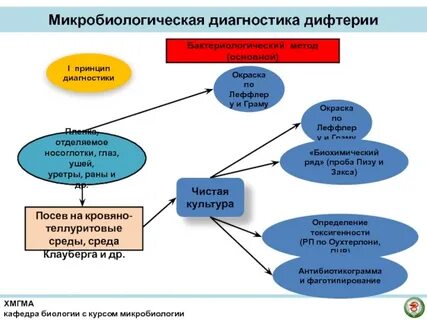 Материал на дифтерию