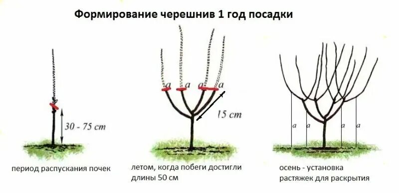 Можно ли формировать