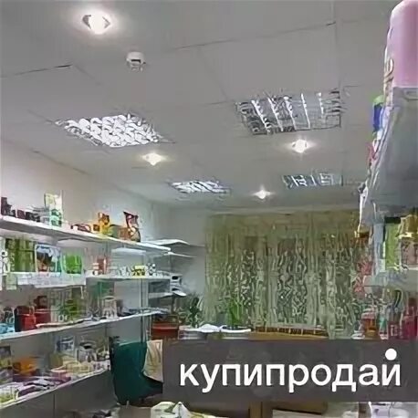 Продам магазин сургут
