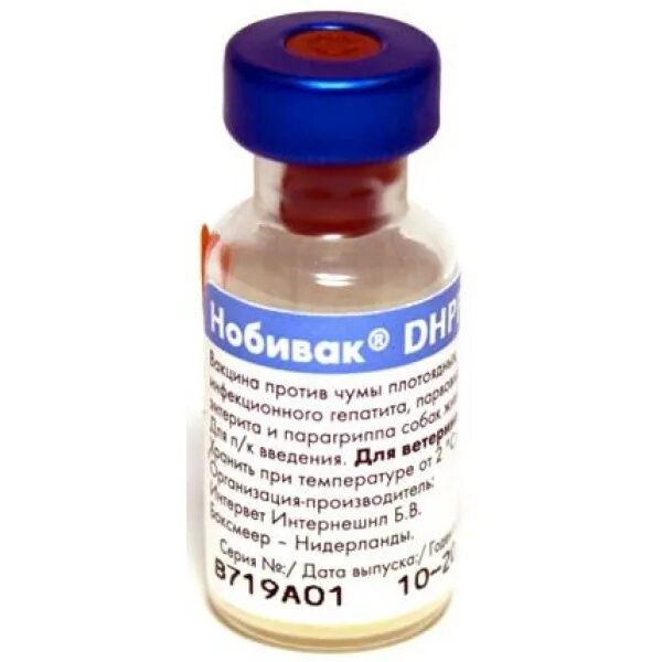 Вакцина нобивак цена. Растворитель для Нобивак DHPPI. Нобивак DHPPI. Нобивак DHPPI для собак. Комплексная вакцина для собак Нобивак.