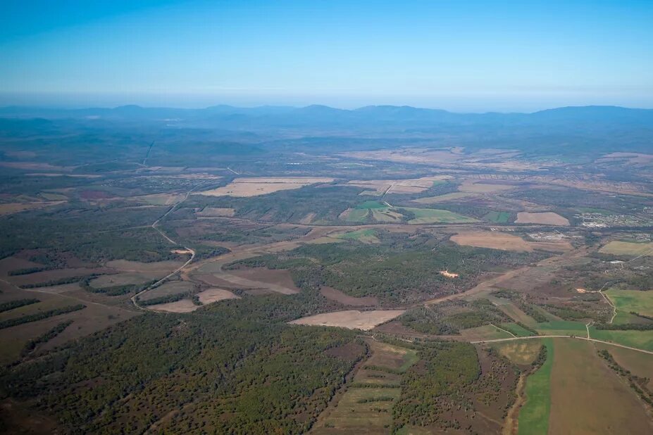 Сертификат на дальневосточный гектар. Лес легкие планеты. 1 млн гектар на карте. Гектар леса. Поле фрипик.