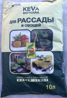 Верный грунт