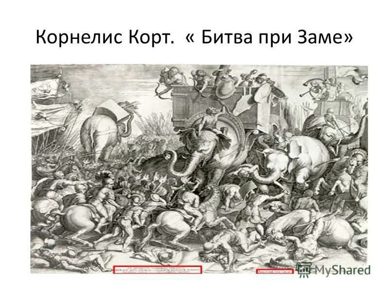 В битве при заме победил полководец. В битве при заме победил полководец