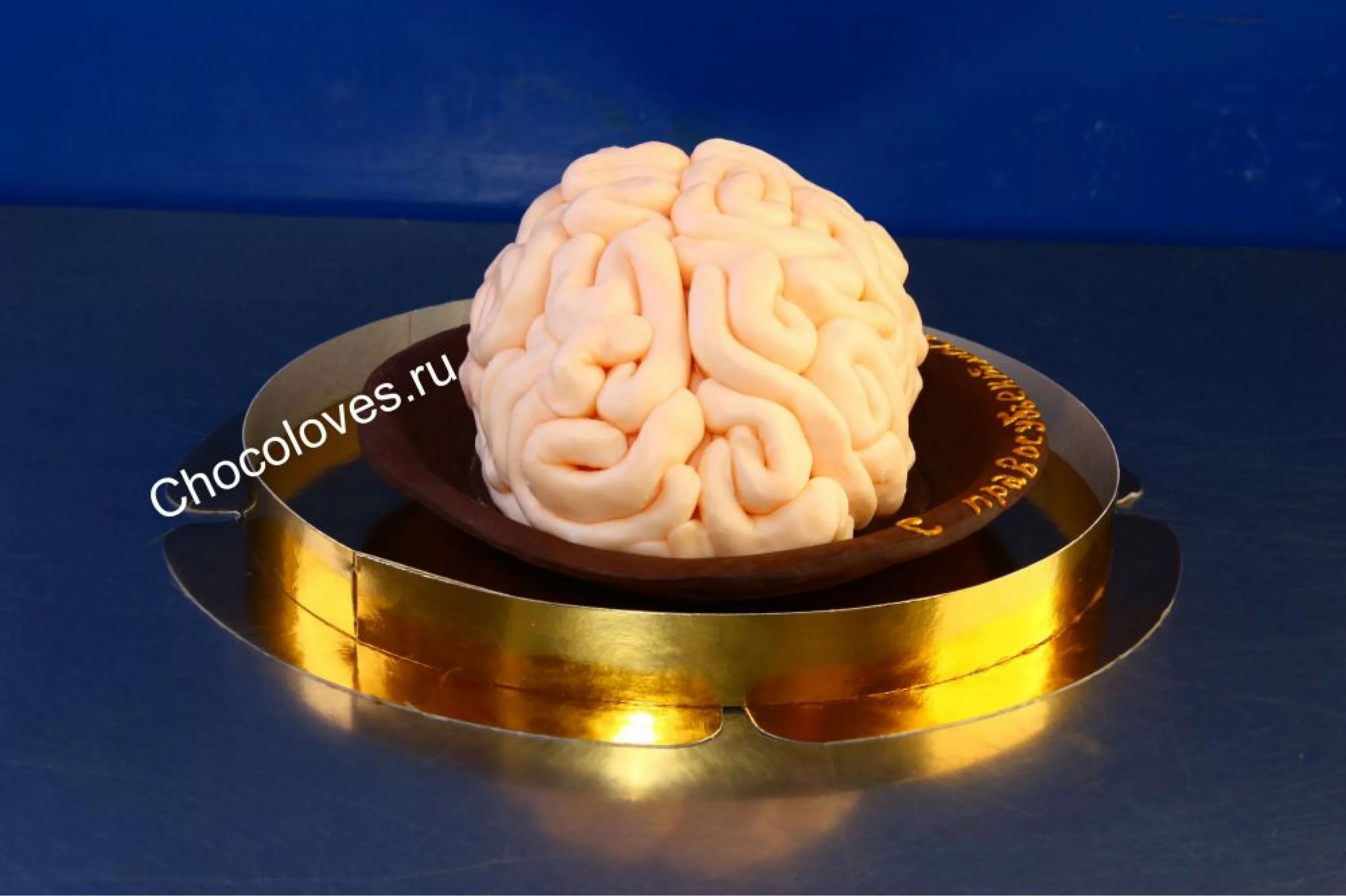 Купи мозги 2. Шоколадный мозг. Шоколад для мозга.