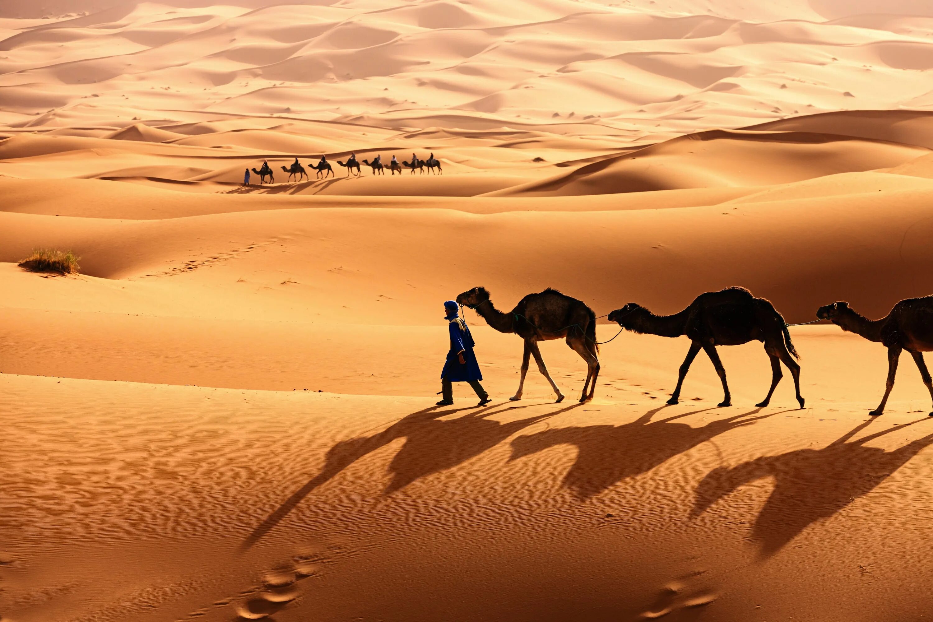 Western africa