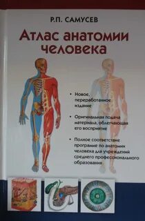 Атлас анатомии человека самусев р